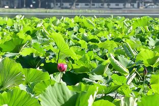 还需适应！海沃德首秀替补登场14分钟0分4板